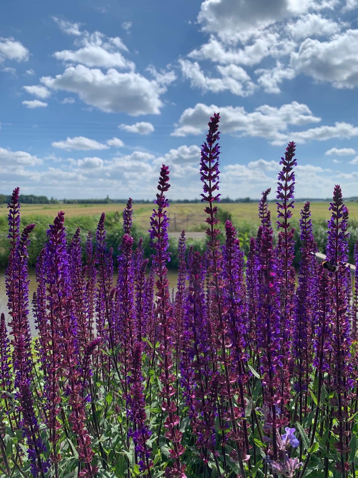 Week van de Hoogbegaafdheid 2026