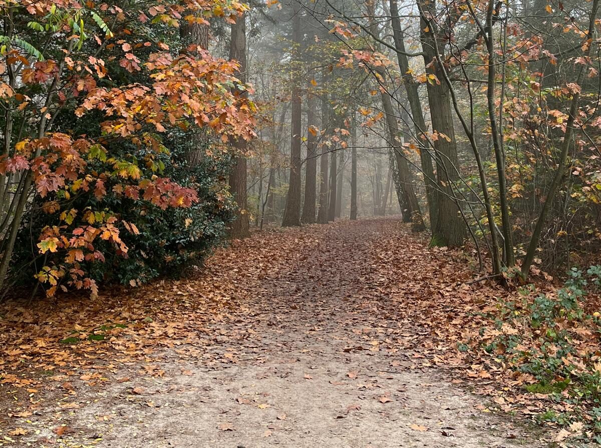 Waar vertrouwen begint, ontstaat een nieuw pad