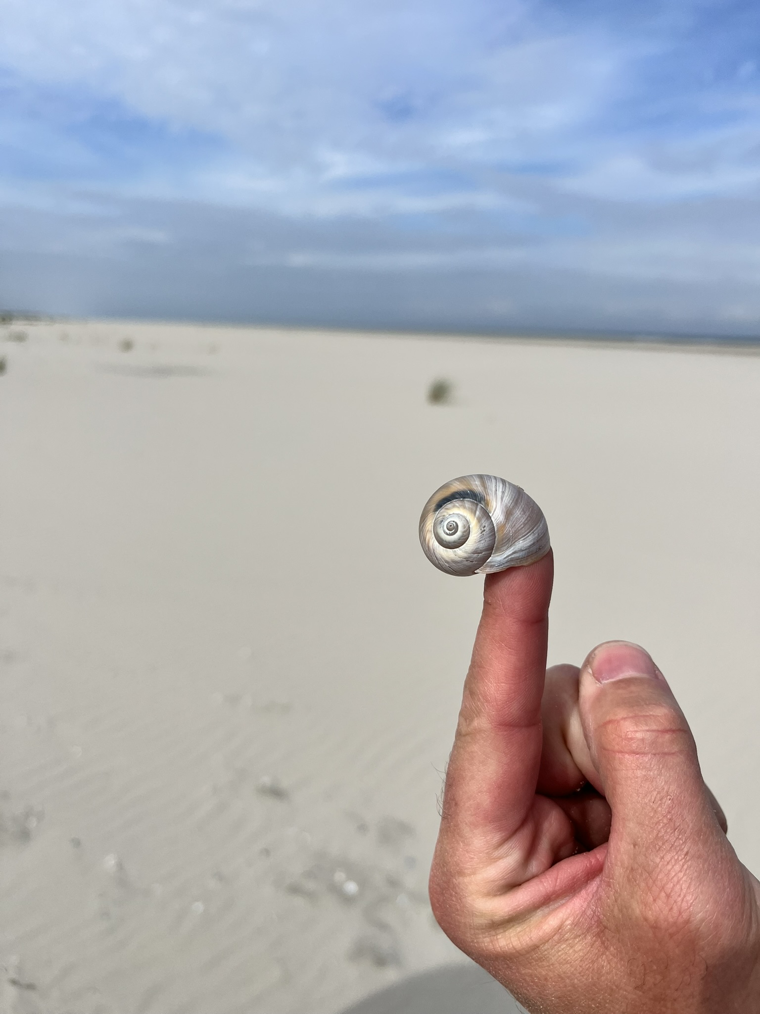 Onderpresteren bij hoogbegaafde kinderen