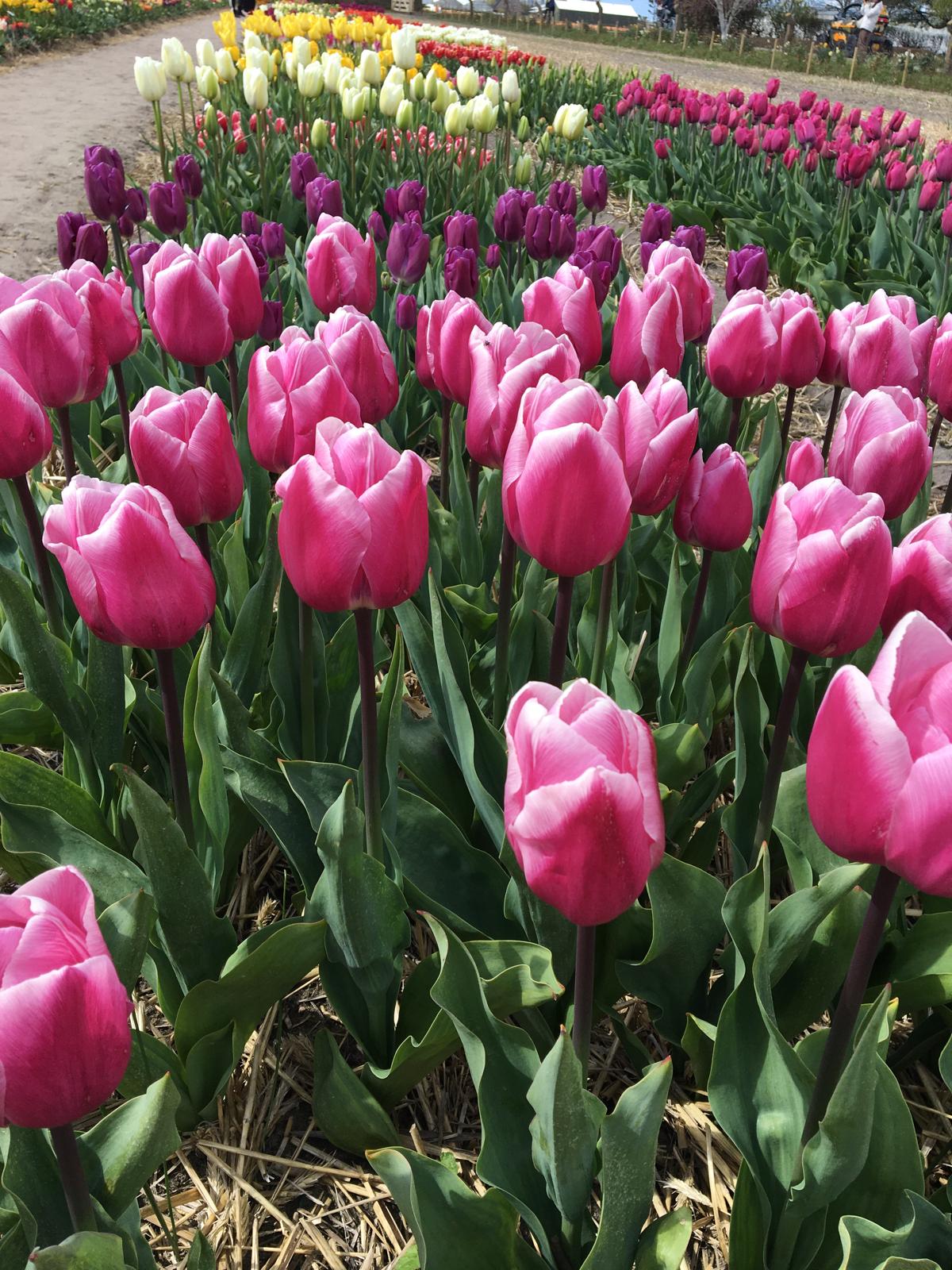 “Was dit nou de eerste vakantiedag?”